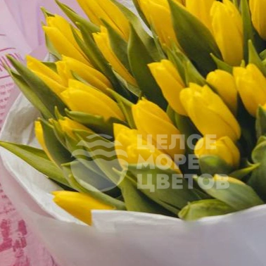 Букет из 51 тюльпана 