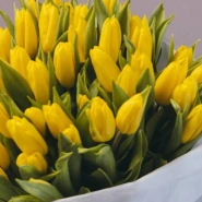 Букет из 51 тюльпана  1