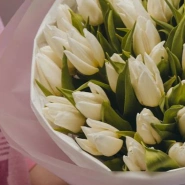 Букет из 51 тюльпана белого цвета  2