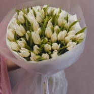 Букет из 51 тюльпана белого цвета  0