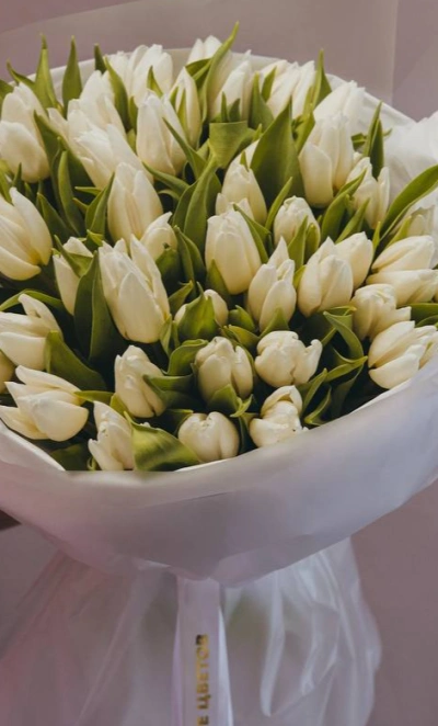 Букет из 51 тюльпана белого цвета 