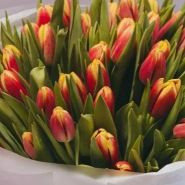 букет из 51 оранжевого тюльпана  1