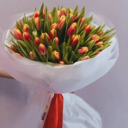 букет из 51 оранжевого тюльпана  0