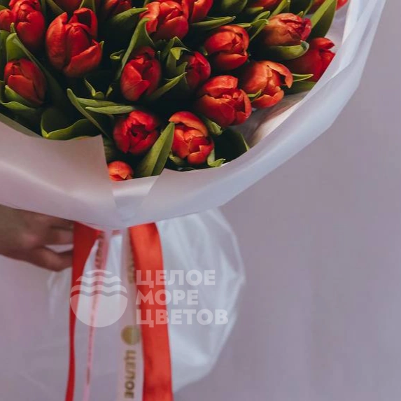 Букет из 51 красного тюльпана 