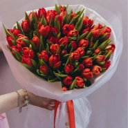 Букет из 51 красного тюльпана  0