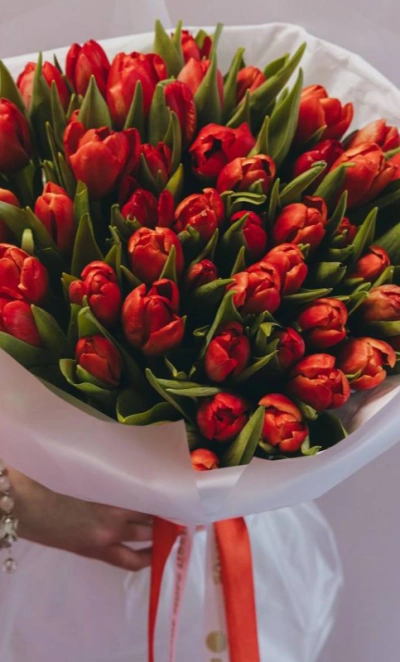 Букет из 51 красного тюльпана 