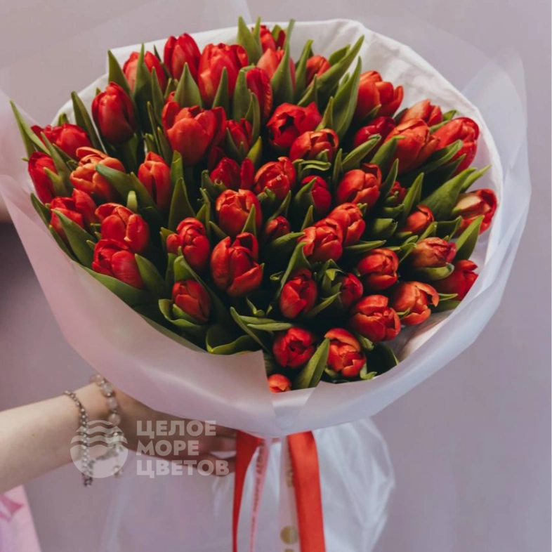 Букет из 51 красного тюльпана 