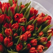 Букет из 51 красного тюльпана  3