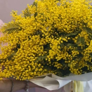 Букет из мимозы  1