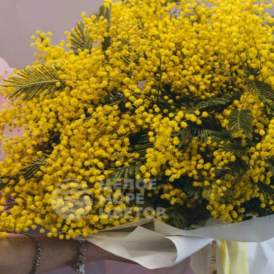 Букет из мимозы 
