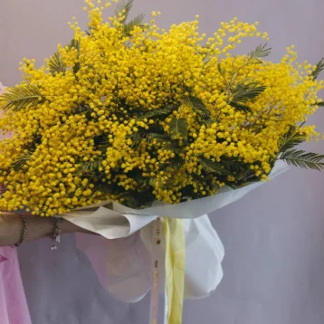 Букет из мимозы 