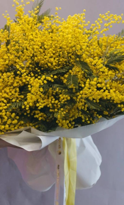 Букет из мимозы 