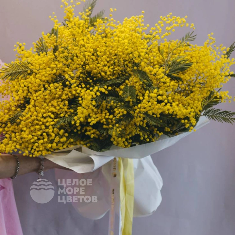 Букет из мимозы 