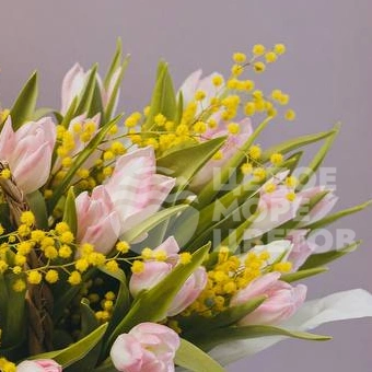 Композиция с мимозой и тюльпанами 