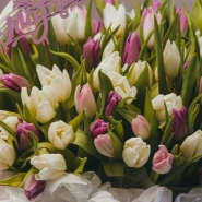 Корзина с 101 тюльпаном  2