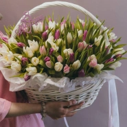 Корзина с 101 тюльпаном  0