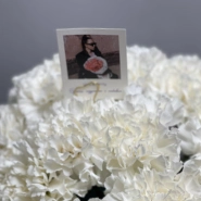 Композиция с диантусами в металлическом кашпо  1