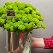 Композиция Филин Грин  1