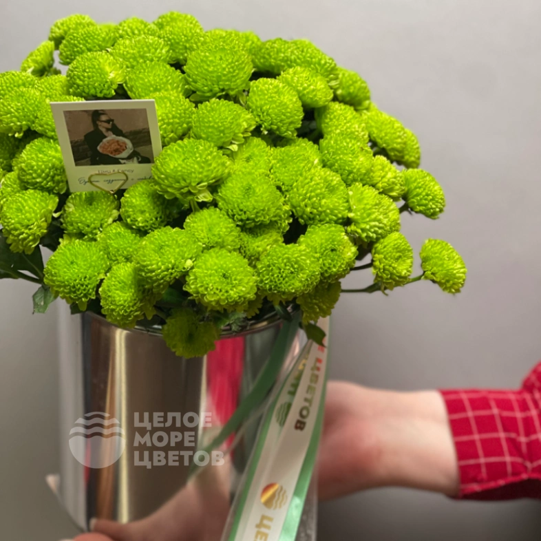 Композиция Филин Грин 