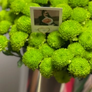 Композиция Филин Грин  2