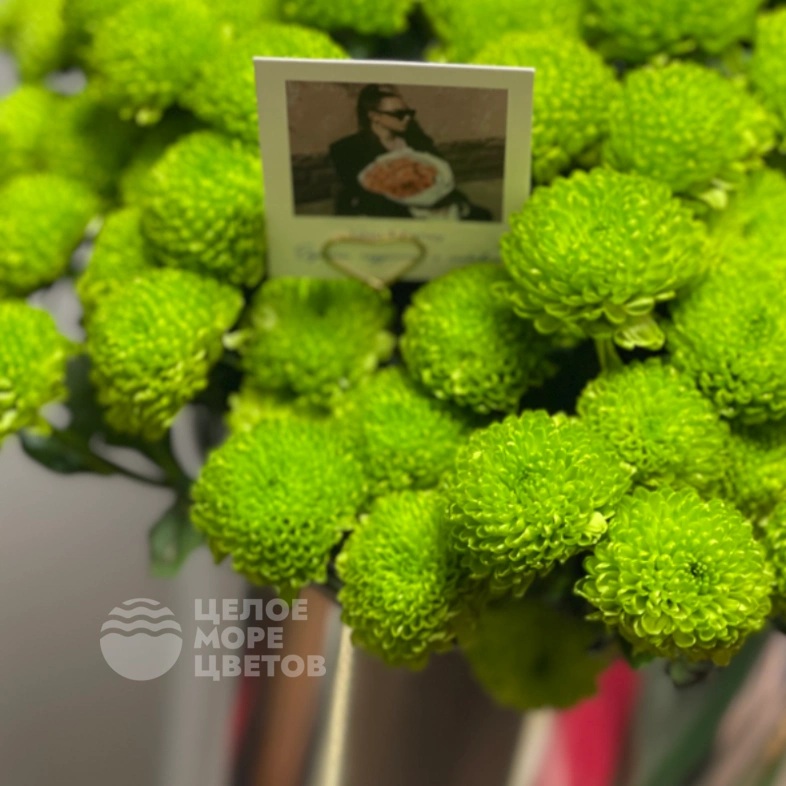 Композиция Филин Грин 