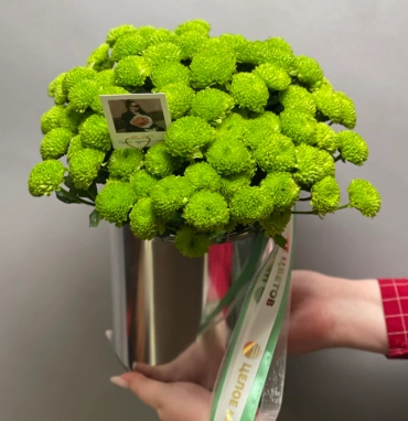 Композиция «Филин Грин»