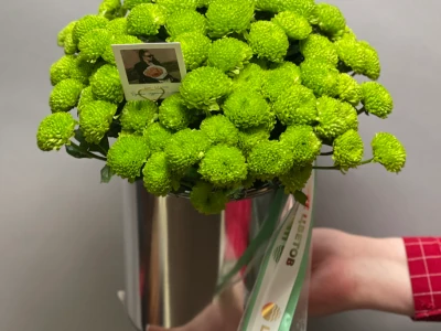 Композиция «Филин Грин»