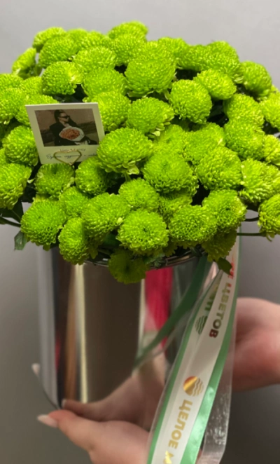 Композиция Филин Грин 