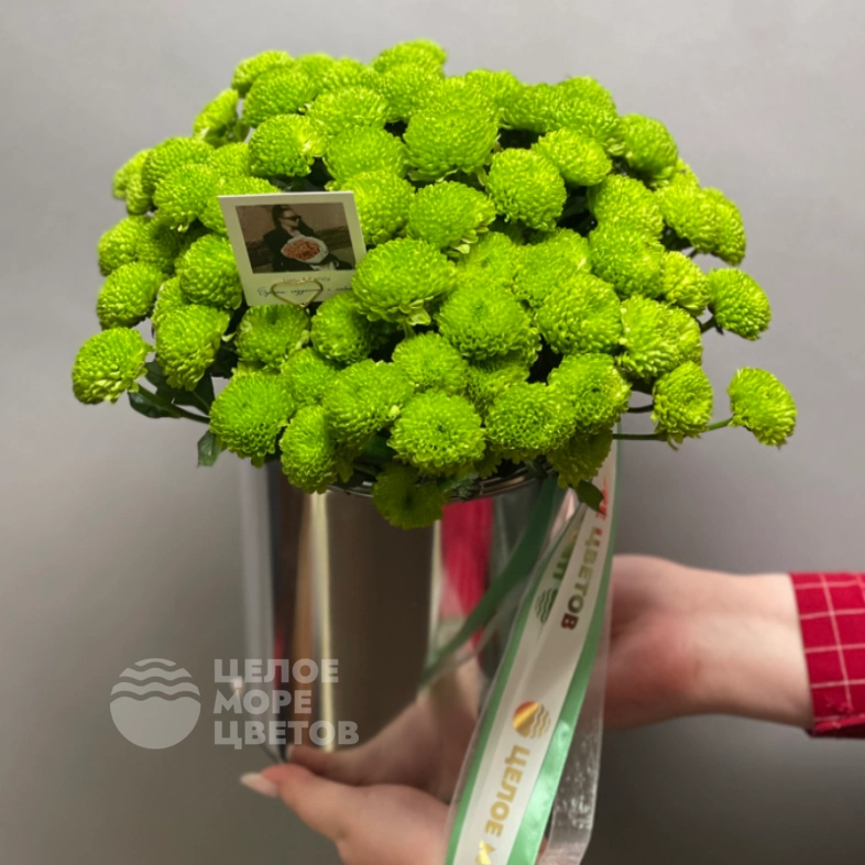 Композиция Филин Грин 