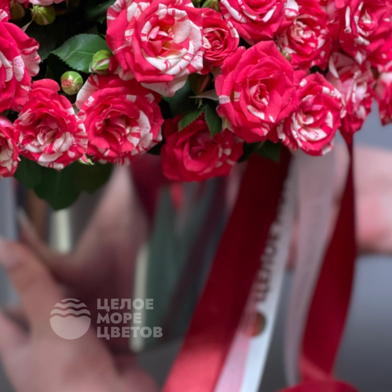 Композиция Файрворкс в металлическом кашпо