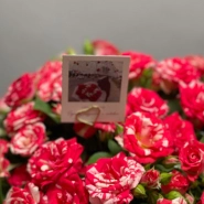 Композиция Файрворкс в металлическом кашпо 1