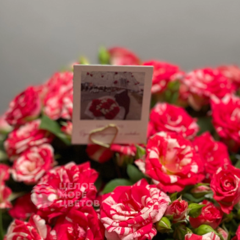 Композиция Файрворкс в металлическом кашпо