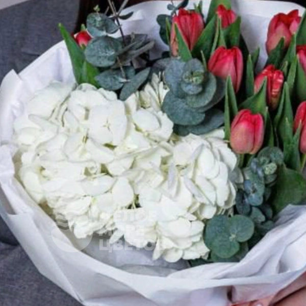 Букет из гортензий с тюльпанами &laquo;Сердечный аккорд&raquo;