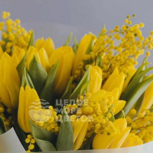 Букет с мимозой и тюльпанами &laquo;Лепестки счастья&raquo;