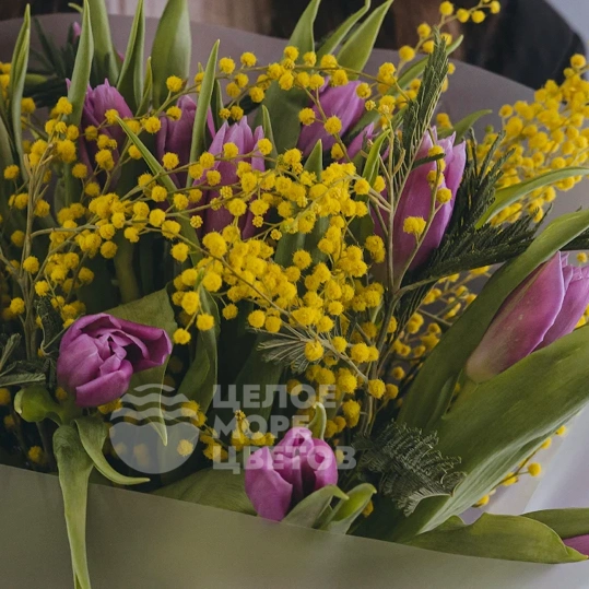 Букет с 15 тюльпанами и мимозой 