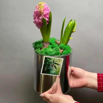 Первоцветы #1