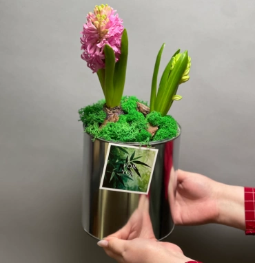 Первоцветы #1