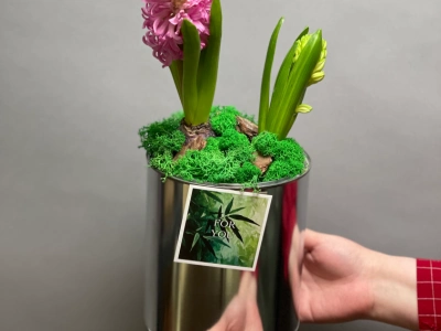 Первоцветы #1