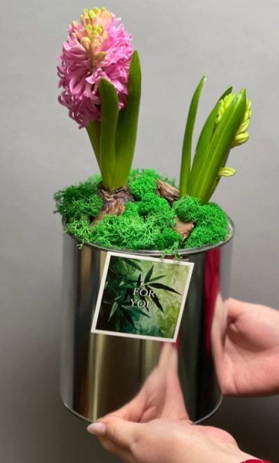 Первоцветы #1