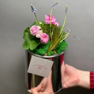 Первоцветы#2 0