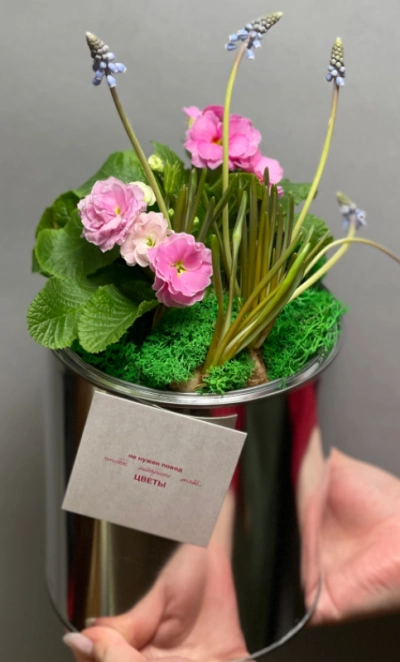 Первоцветы#2