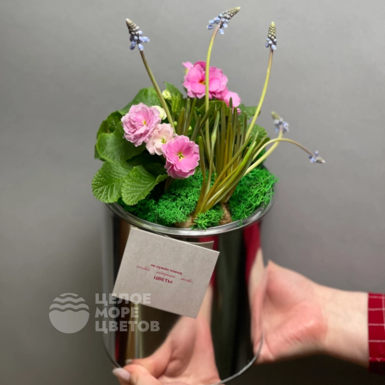 Первоцветы#2