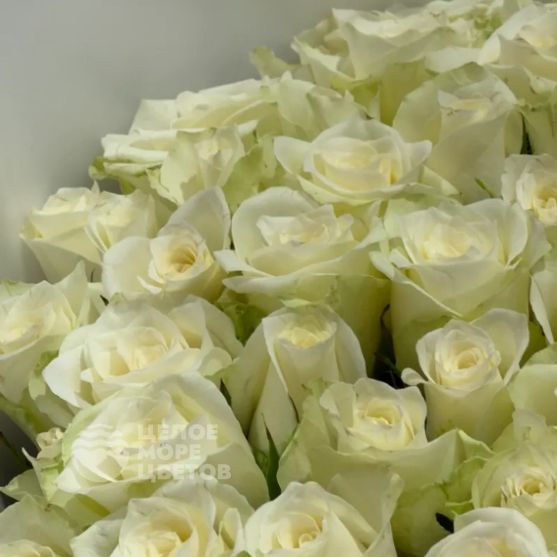 Букет &laquo;Нежность чувств&raquo; 