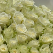 Букет &laquo;Нежность чувств&raquo;  3