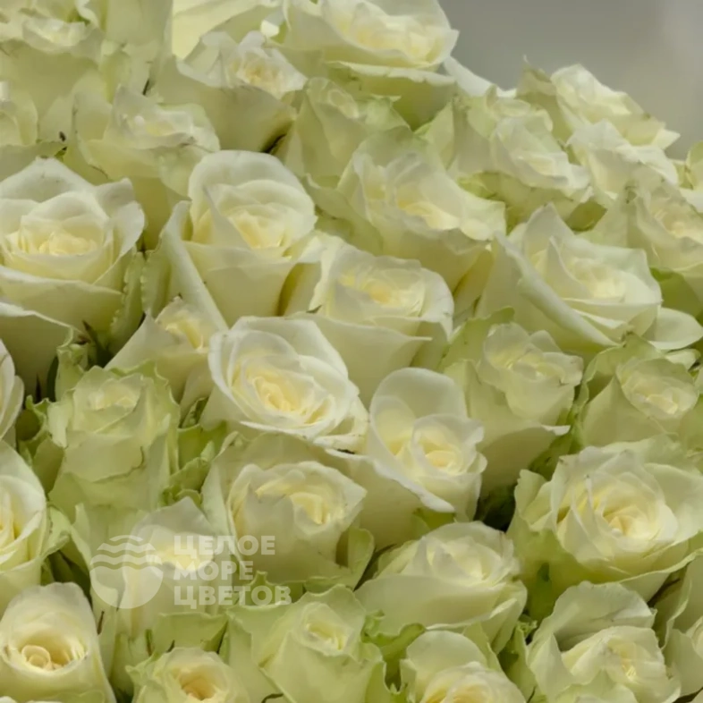 Букет &laquo;Нежность чувств&raquo; 